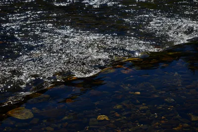 DSC_9906 (Large).JPG